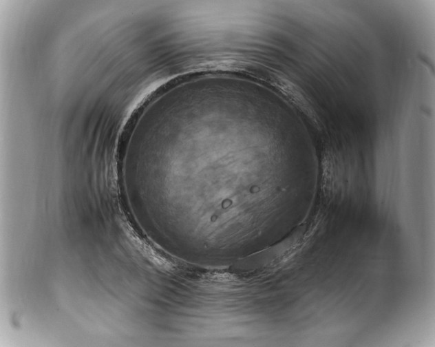 X0000102250784200807251321
