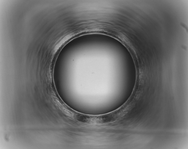 X0000102250789200807251321