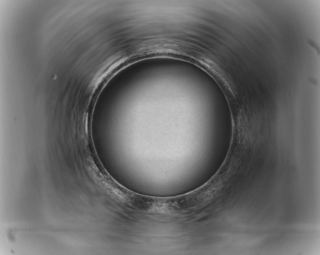 X0000102250790200807251321