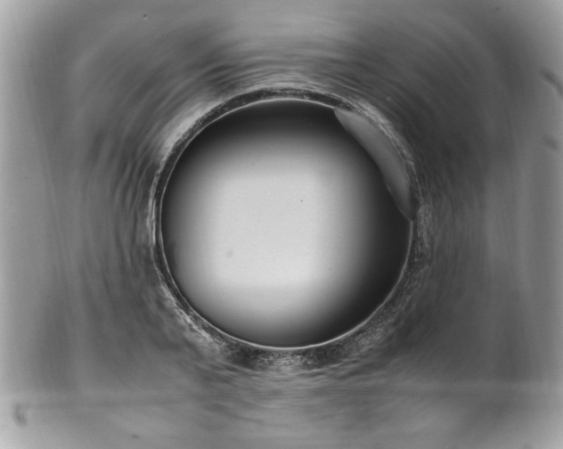X0000102250791200807251321