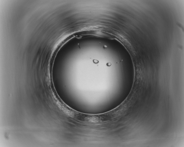 X0000102250792200807251321