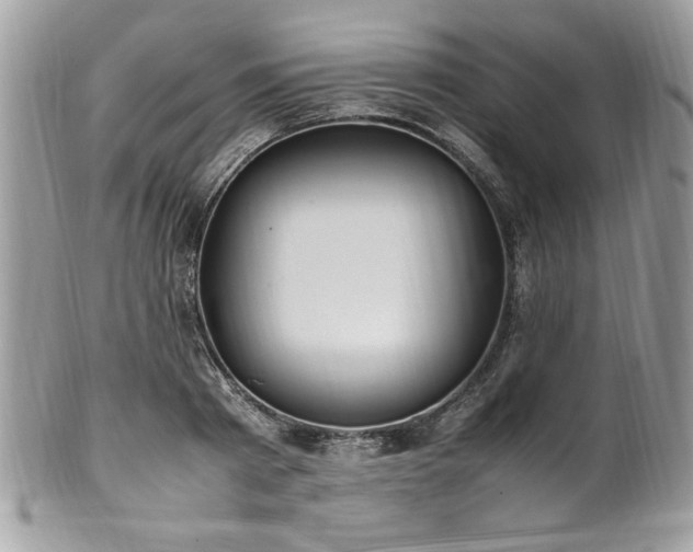 X0000102250793200807251321