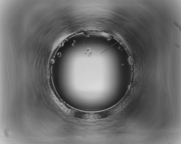 X0000102250795200807251321