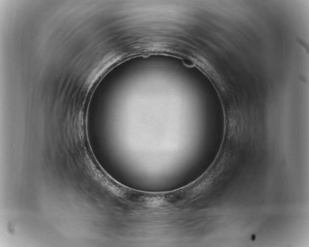 X0000102250798200807251321