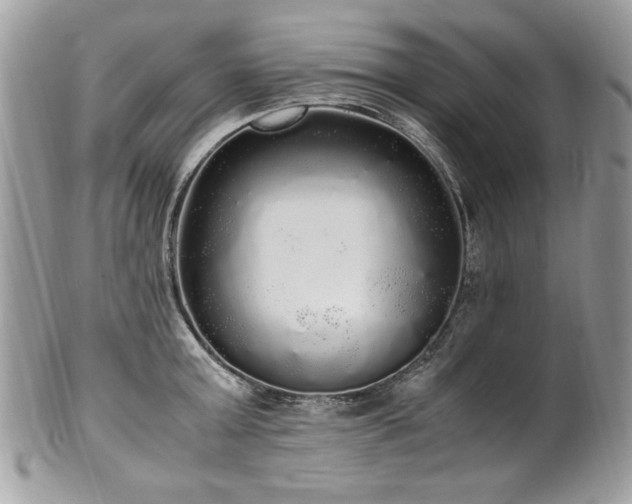 X0000102250803200807251321