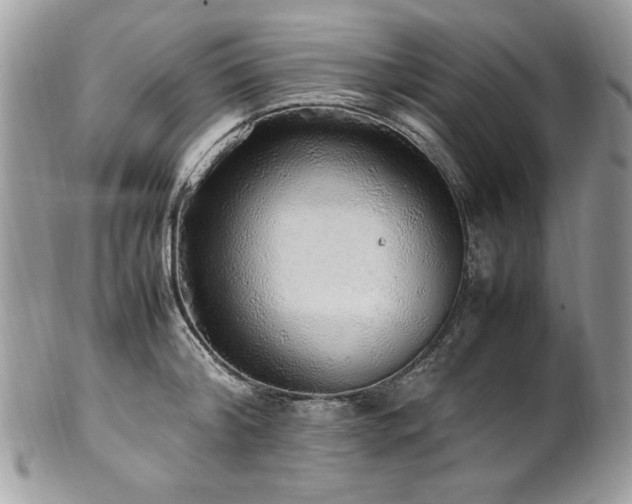 X0000102250804200807251321