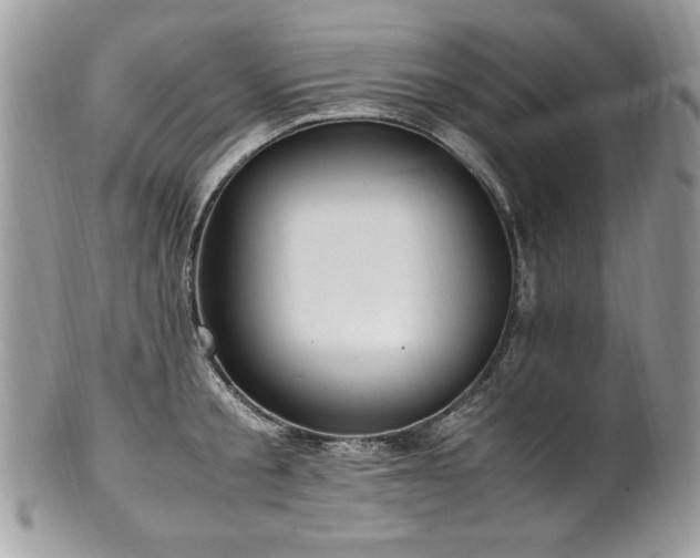 X0000102250805200807251321
