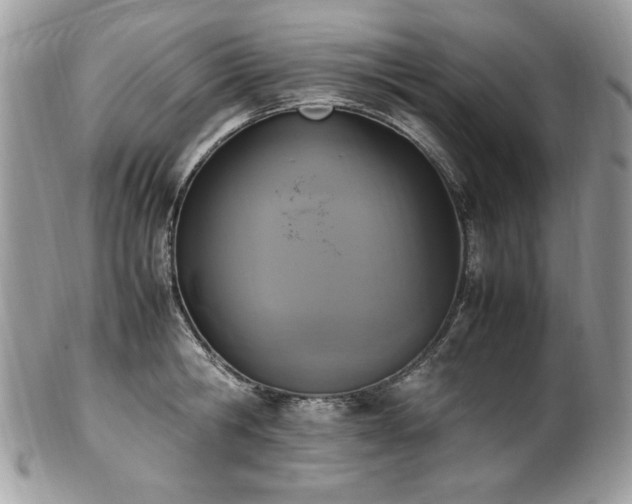 X0000102250806200807251321