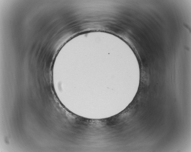 X0000102250807200807251321