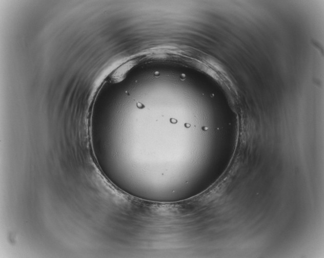X0000102250808200807251321