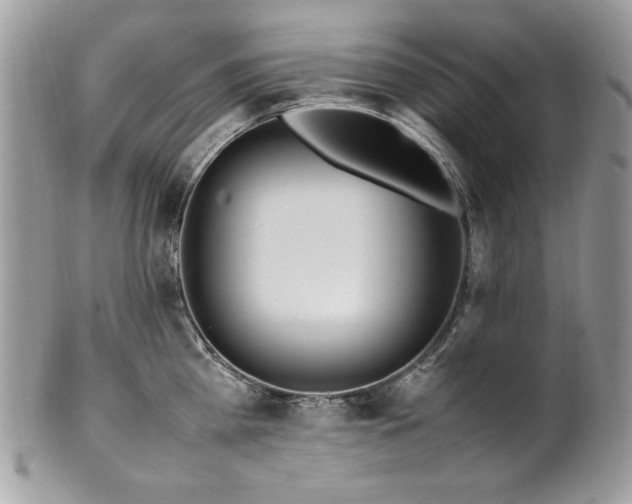 X0000102250809200807251321