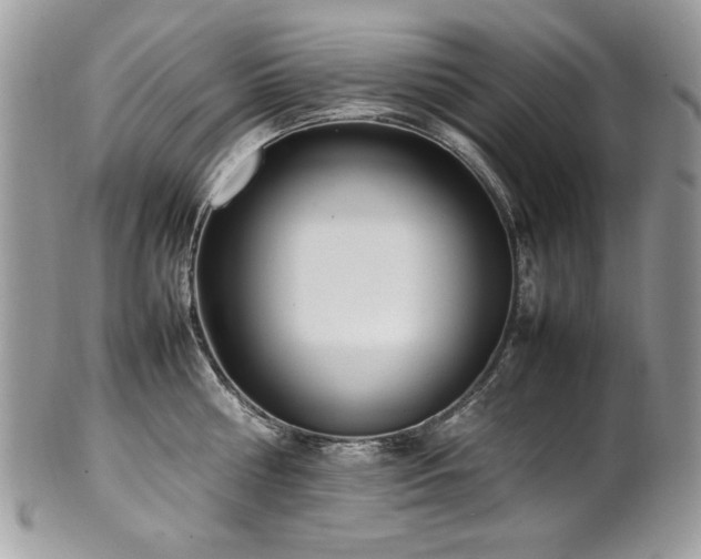 X0000102250810200807251321
