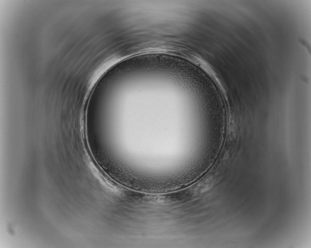 X0000102250811200807251321