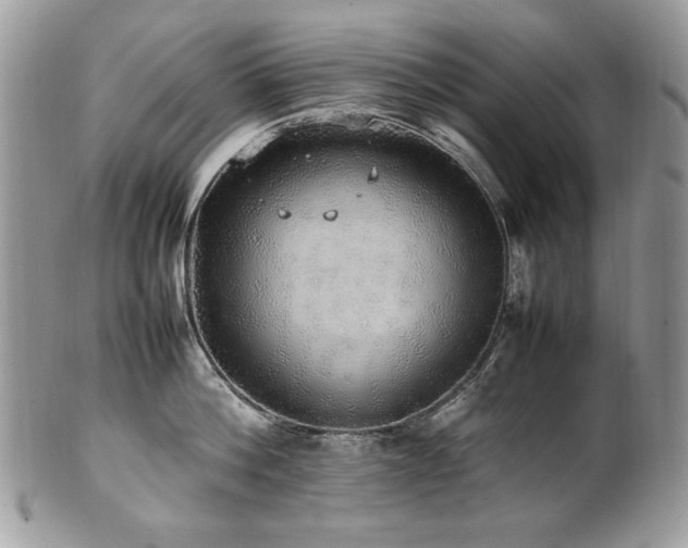 X0000102250812200807251320