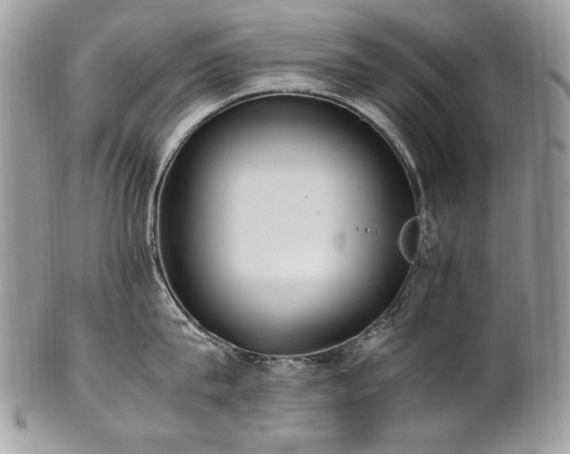 X0000102250815200807251320