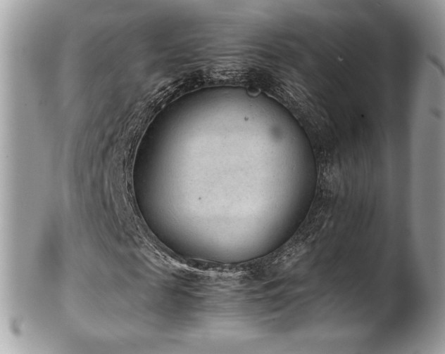 X0000102250817200807251320
