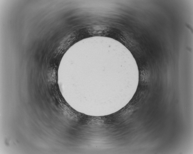 X0000102250820200807251320