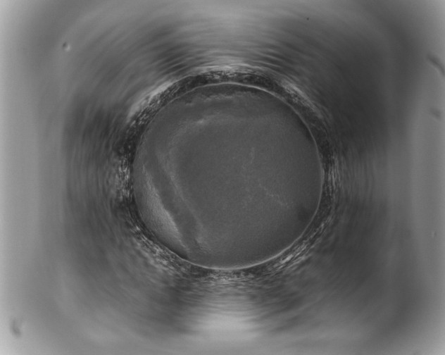 X0000102250822200807251320
