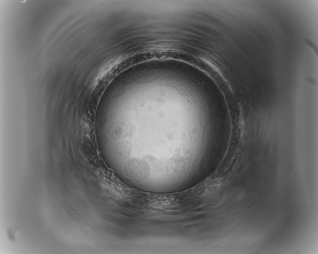 X0000102250823200807251320