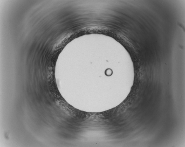 X0000102250824200807251320