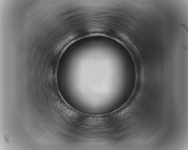 X0000102250825200807251320