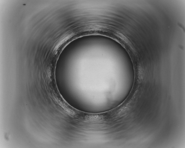 X0000102250826200807251320