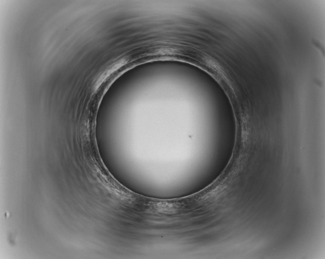 X0000102250827200807251320