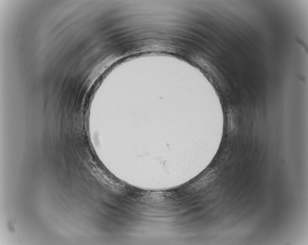 X0000102250828200807251320