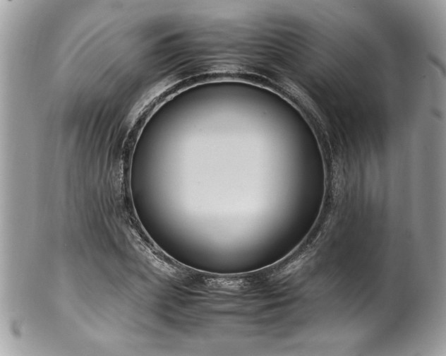 X0000102250831200807251320