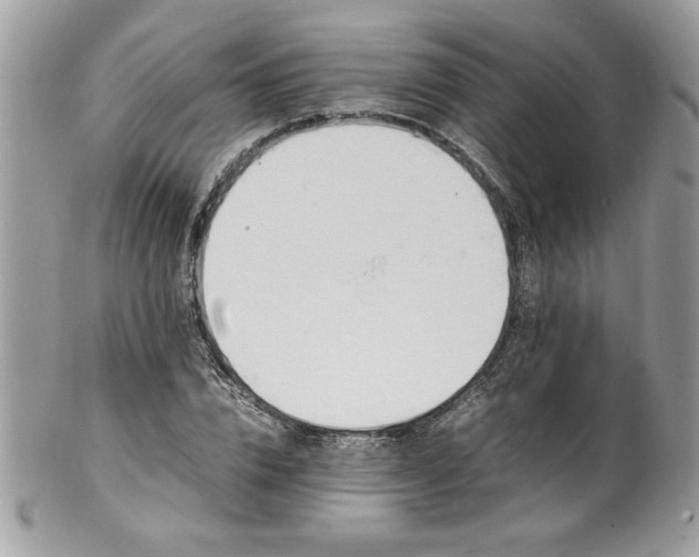 X0000102250832200807251320