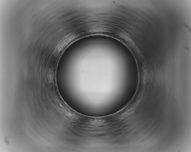 X0000102250833200807251320