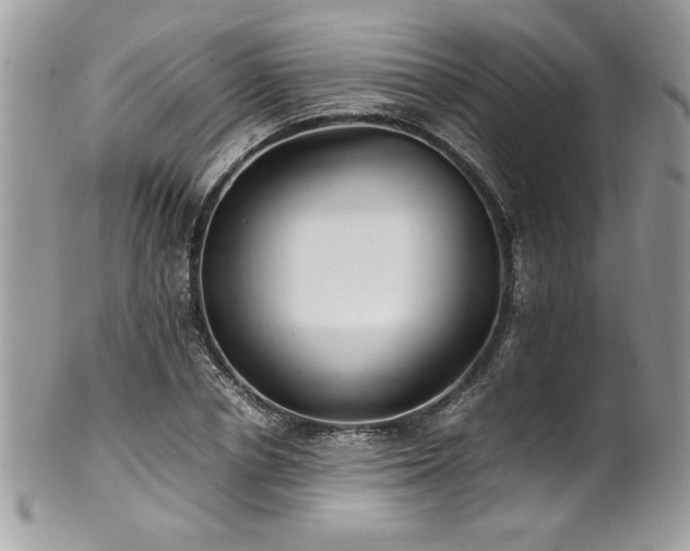X0000102250834200807251320