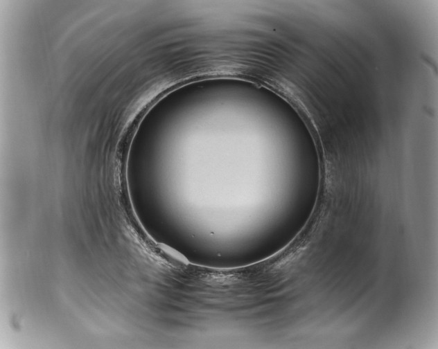 X0000102250835200807251320