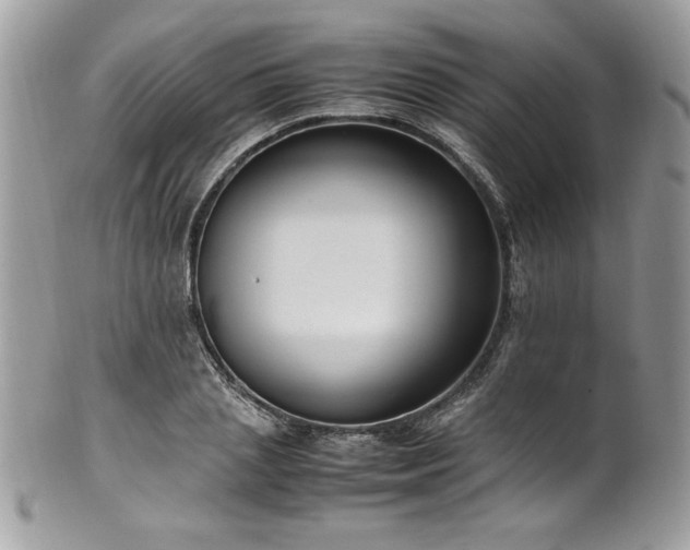 X0000102250837200807251320