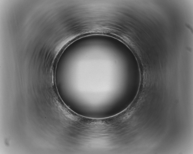 X0000102250838200807251320