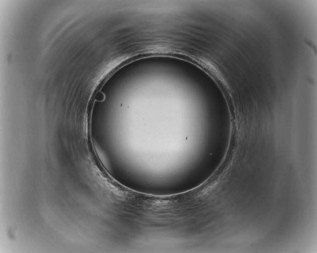 X0000102250839200807251320