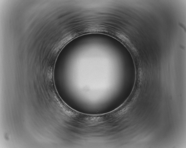X0000102250841200807251320