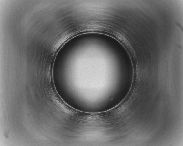 X0000102250842200807251320