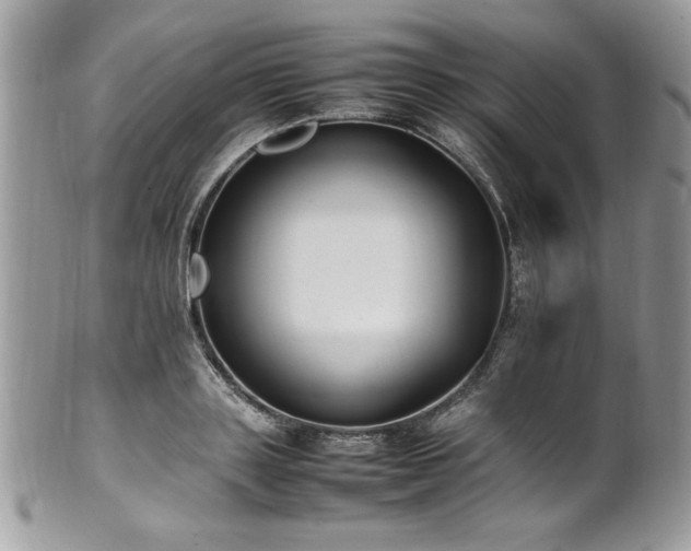 X0000102250843200807251320