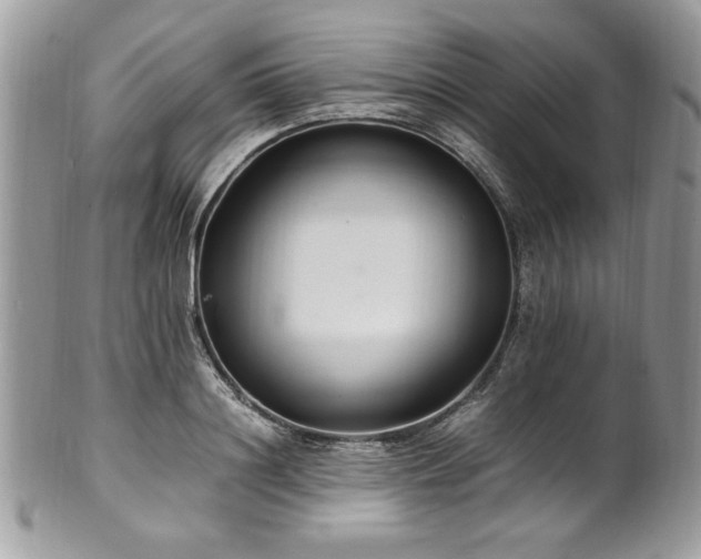 X0000102250844200807251320