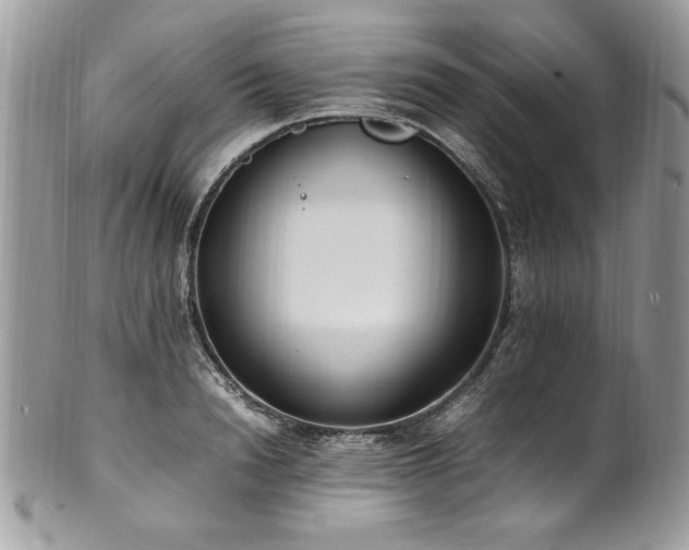 X0000102250846200807251320