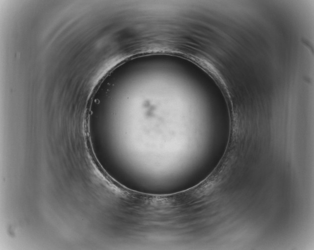 X0000102250847200807251320