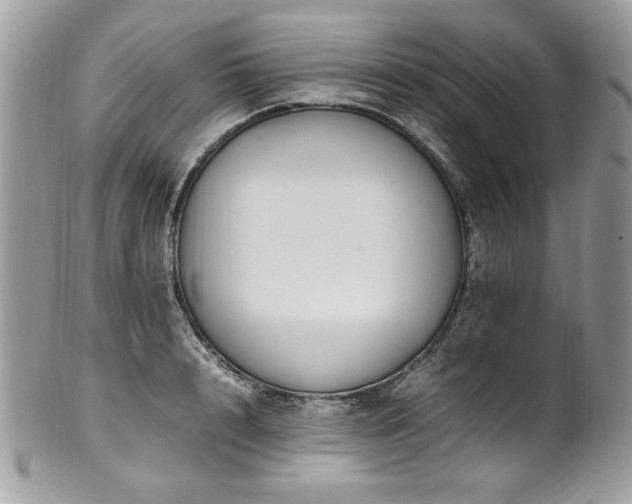 X0000102250848200807251320
