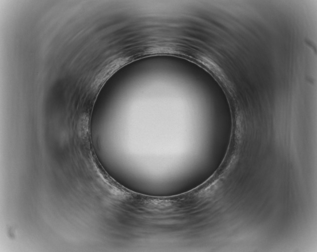 X0000102250849200807251320