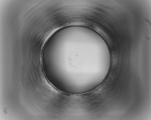 X0000102250852200807251320
