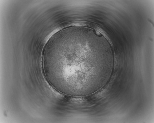 X0000102250853200807251320