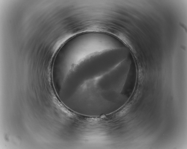 X0000102250854200807251320