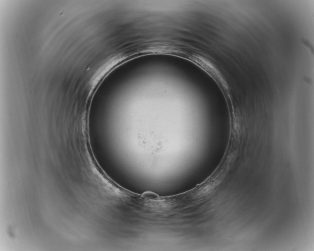 X0000102250855200807251320