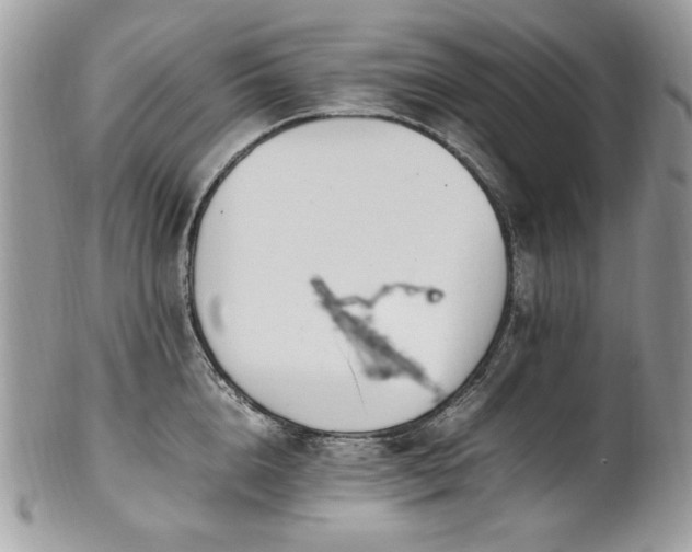 X0000102250856200807251320