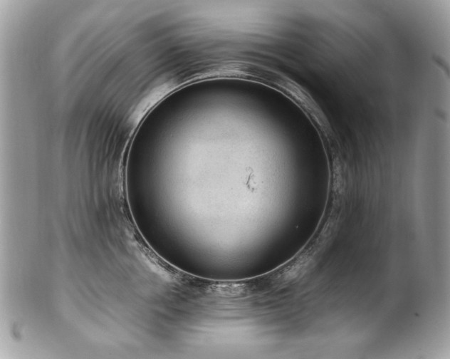 X0000102250858200807251320